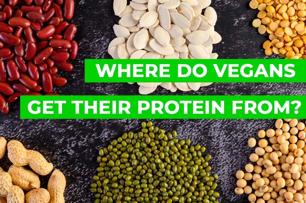 Where Do Vegetarians (And Vegans) Get Their Protein From?